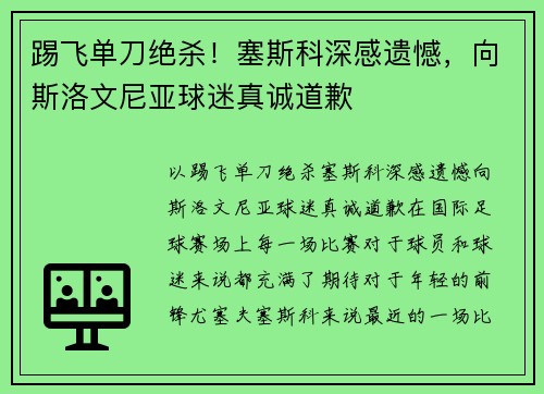 踢飞单刀绝杀！塞斯科深感遗憾，向斯洛文尼亚球迷真诚道歉