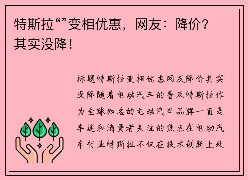 特斯拉“”变相优惠，网友：降价？其实没降！