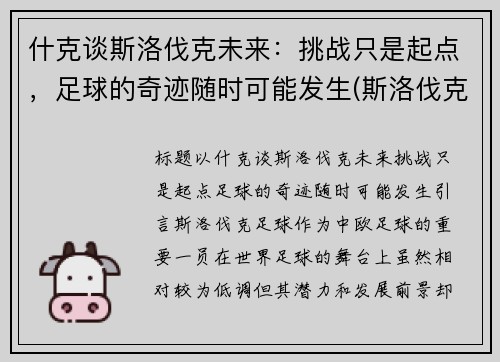什克谈斯洛伐克未来：挑战只是起点，足球的奇迹随时可能发生(斯洛伐克这个球队怎么样)