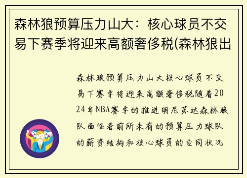森林狼预算压力山大：核心球员不交易下赛季将迎来高额奢侈税(森林狼出售球队)