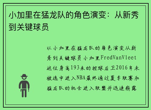 小加里在猛龙队的角色演变：从新秀到关键球员