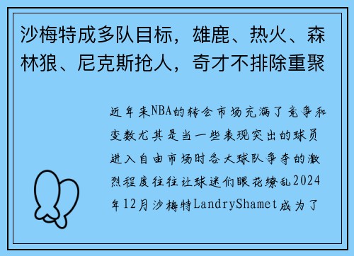 沙梅特成多队目标，雄鹿、热火、森林狼、尼克斯抢人，奇才不排除重聚