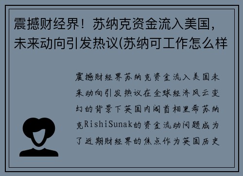 震撼财经界！苏纳克资金流入美国，未来动向引发热议(苏纳可工作怎么样)