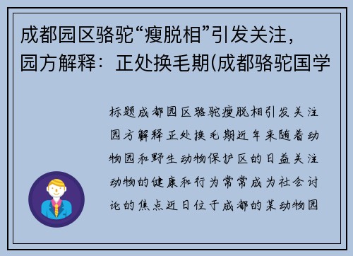 成都园区骆驼“瘦脱相”引发关注，园方解释：正处换毛期(成都骆驼国学老师简介)